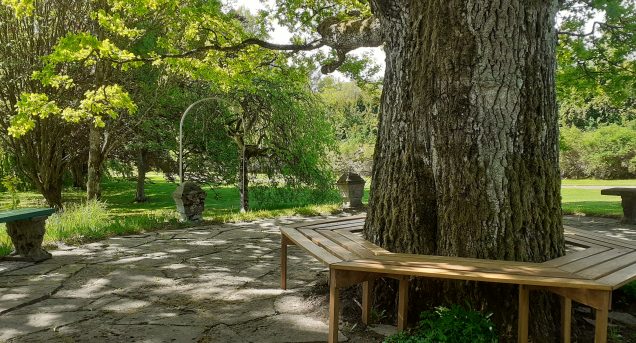 Arboreutum Rottneros Park