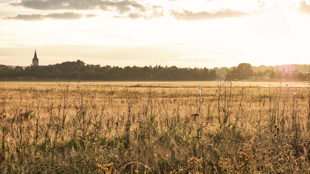 4591c70ba5687553d5ab935d1e8a6cab